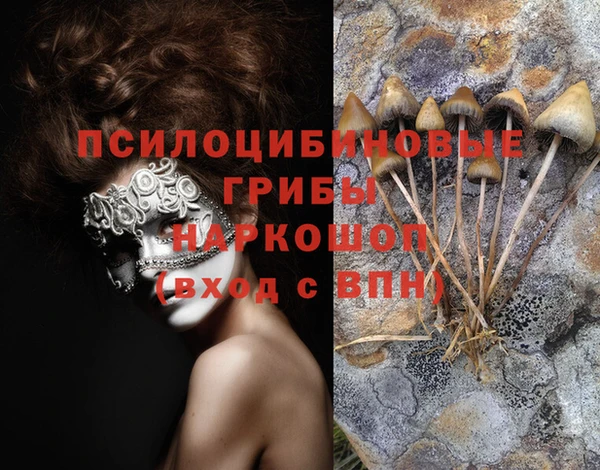 мескалин Заводоуковск