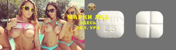 мескалин Заводоуковск
