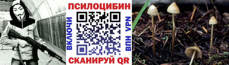 Псилоцибиновые грибы Cubensis  ОМГ ОМГ зеркало  Ишимбай 
