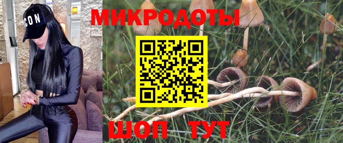 Ишимбай  Псилоцибиновые грибы мицелий  где найти наркотики  Вход с VPN 